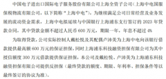 <strong>中电国服全资子公司拟向银行申请不超</strong>